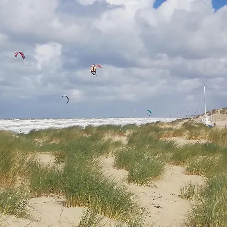 Zeebriesje